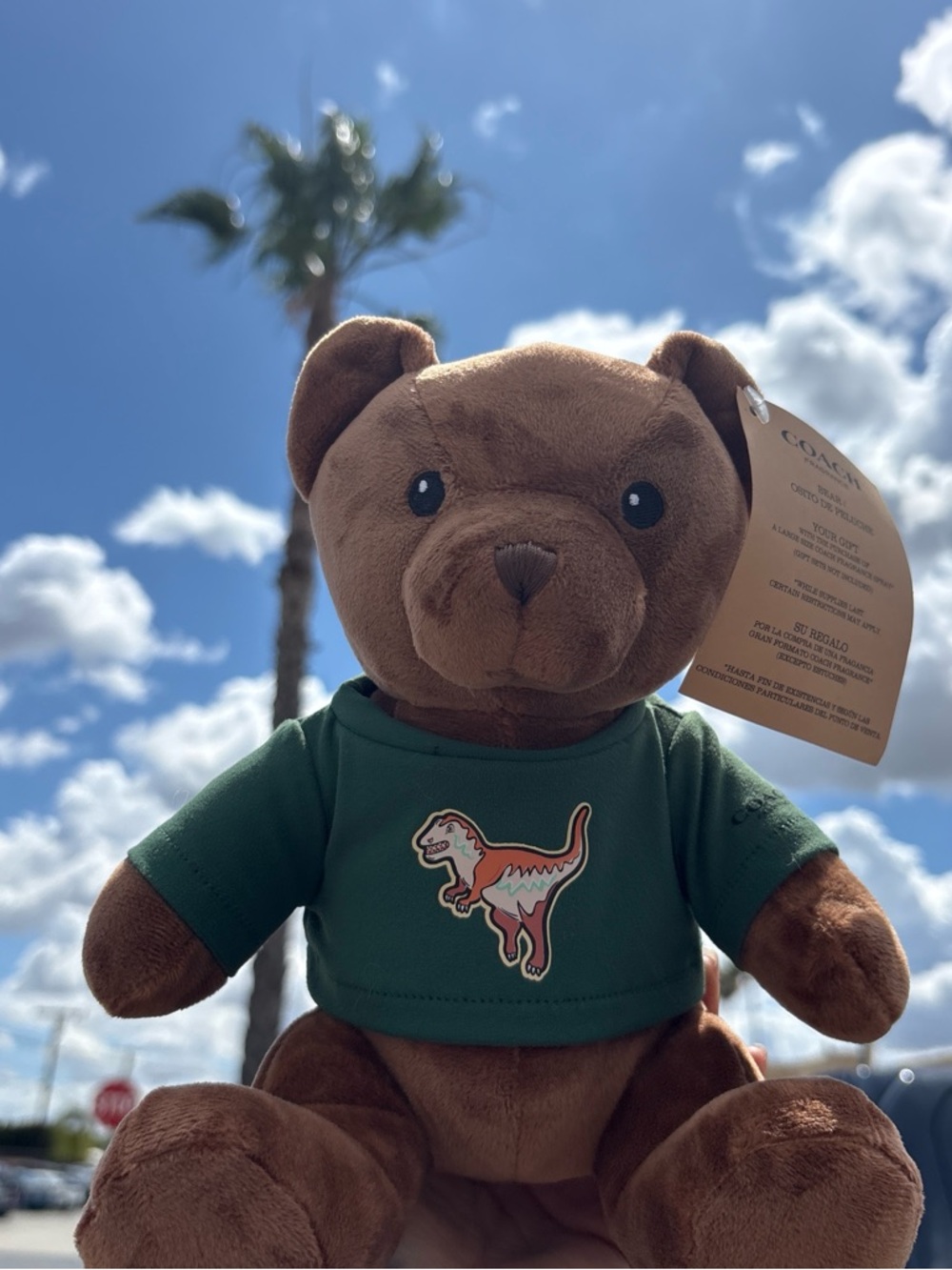 Coach Brown Plush Bear with Green Dino Tee